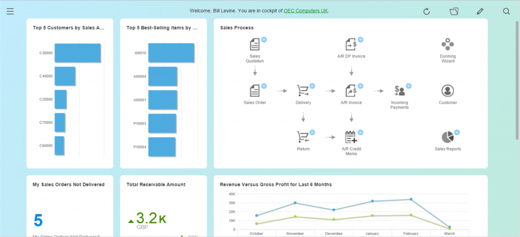 The central cockpit -SAP Business One HANA cloud 