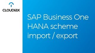 SAP Business One HANA scheme import / export