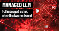 Managed LLM <br><small>Die Zukunft für Unternehmen, die auf KI setzen</small> - Picture Blog