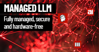 Managed LLM <br><small>The future for companies that rely on AI</small> - Picture Blog